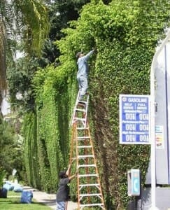 Ladder Safety Could Save You From A Painful Injury