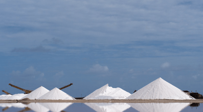 Cargill: Making Salt For a Living